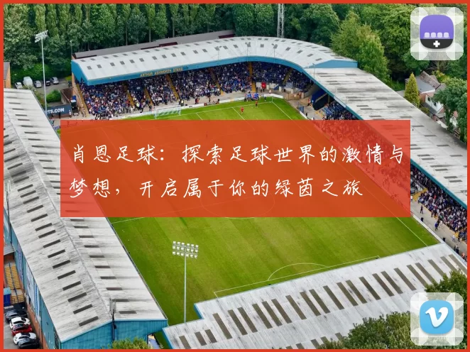 肖恩足球：探索足球世界的激情与梦想，开启属于你的绿茵之旅